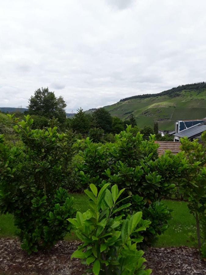 Fewo Kaufmann Bernkastel-Kues Exterior foto